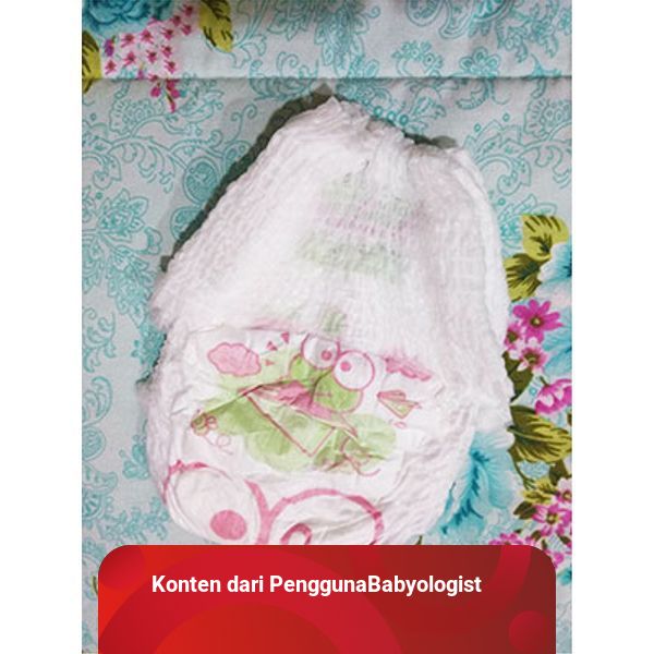 Review Happy Nappy Smart Pants kumparan